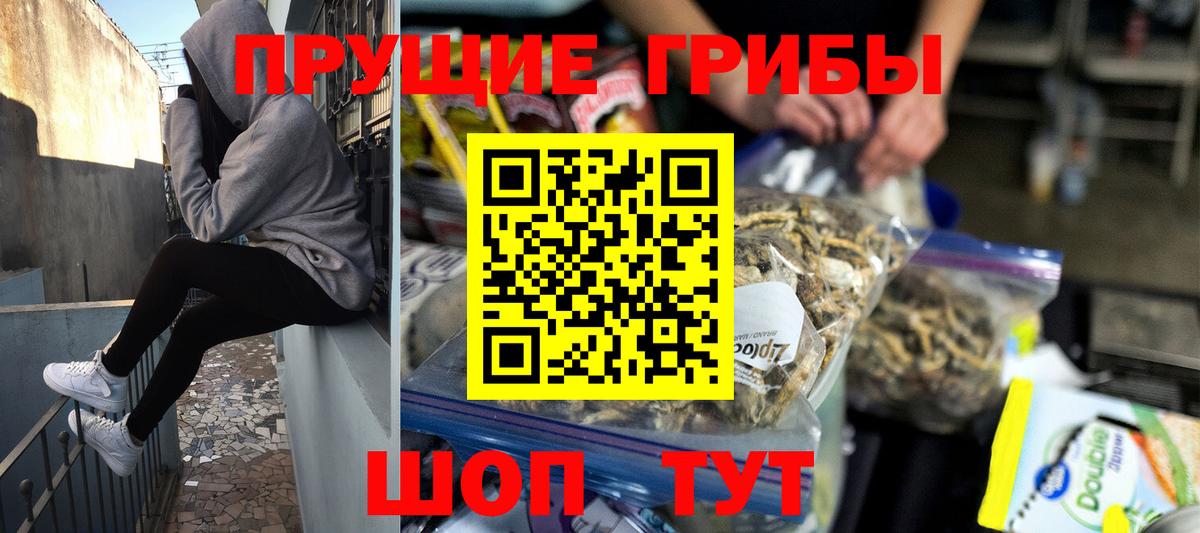 Можайск  где можно купить наркотик  Вход с VPN  Псилоцибиновые грибы прущие грибы  Псилоцибиновые грибы мухоморы 
